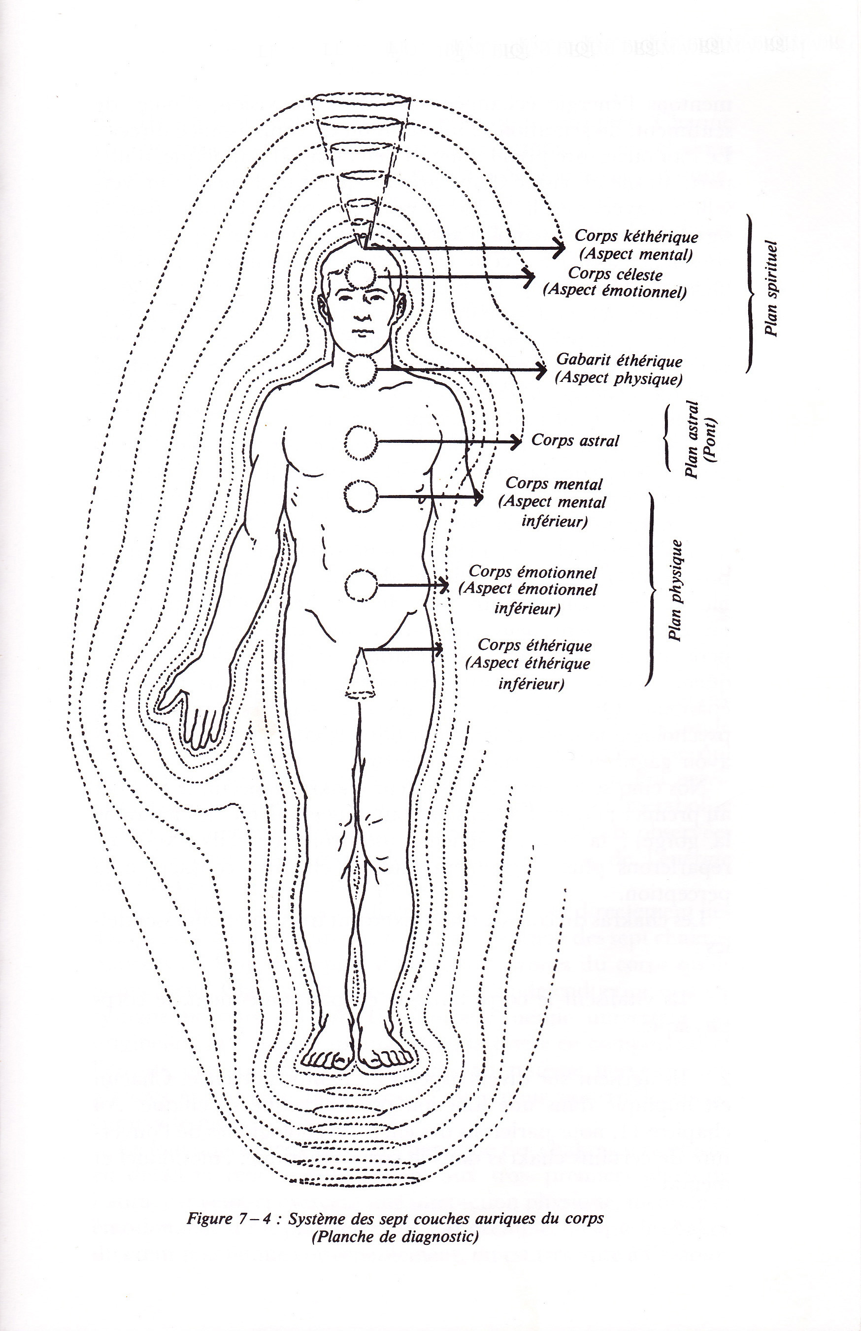 Osthéopathie énergétique